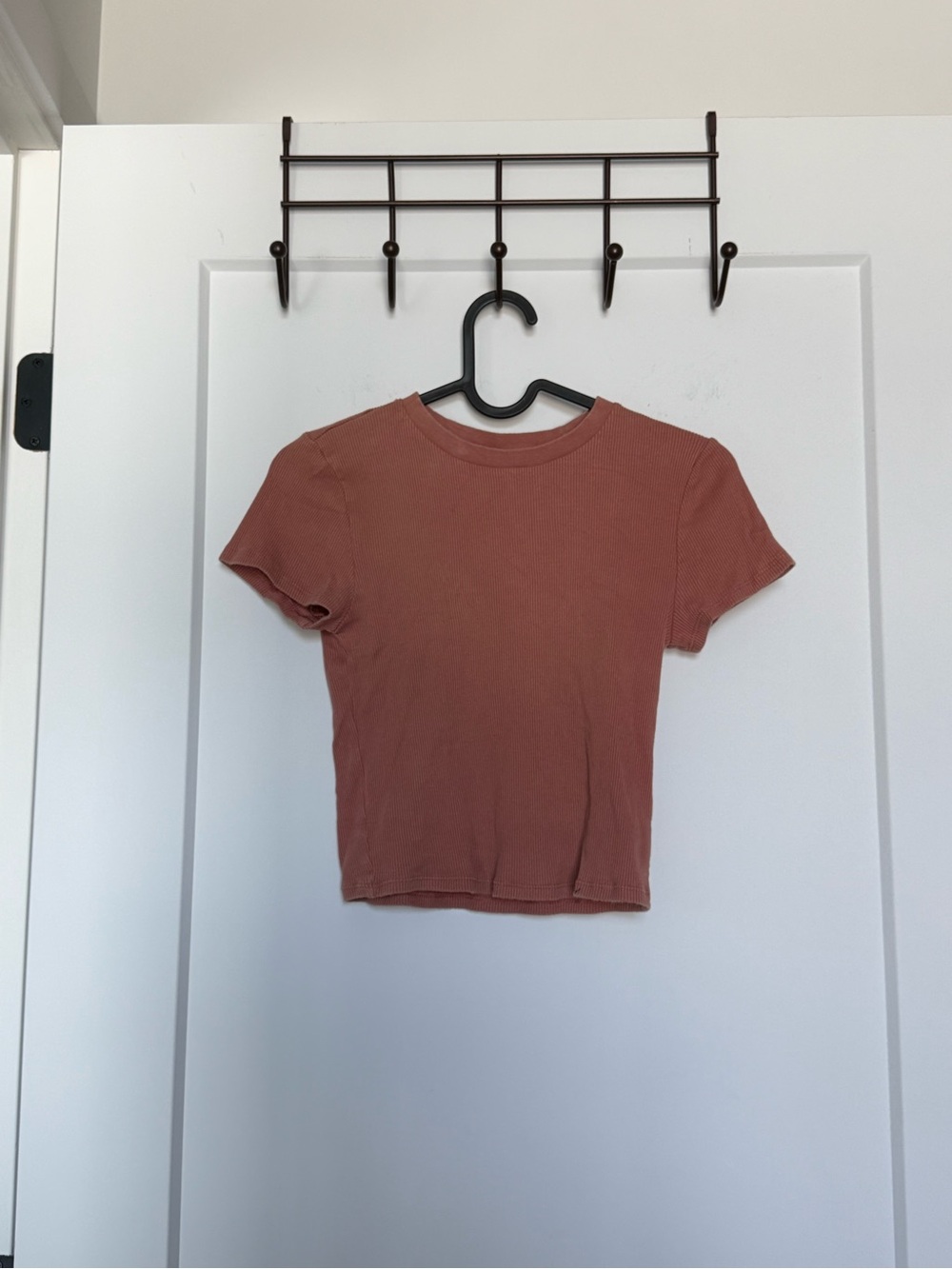 Aritzia TNA Ribbed Crop Tee - Dusty Rust